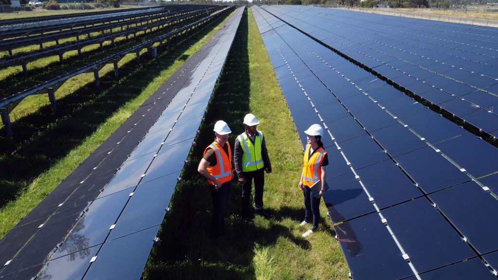 Three Engineers Surrounded By Solar Panels On Solar Farm